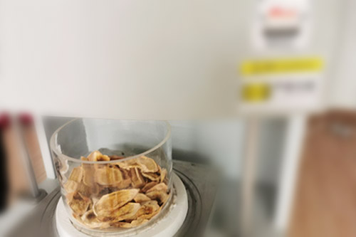 微波核素處置